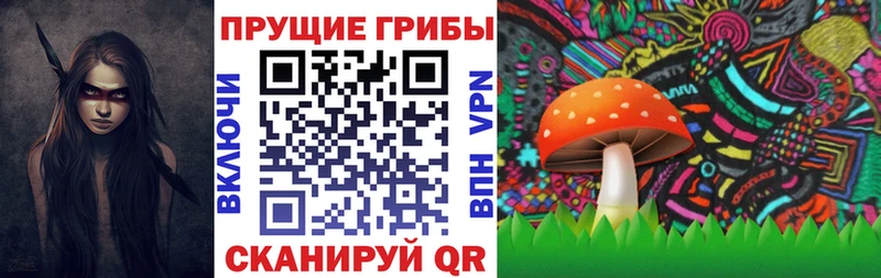 Купить  Советская Гавань  Псилоцибиновые грибы MAGIC MUSHROOMS 